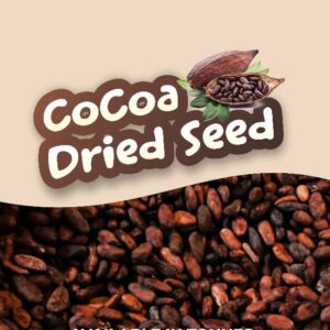 Cocoa Dried Seed