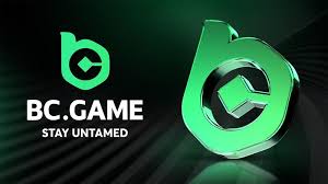 Maximize Your Experience with BC.Game Cashback Bonus