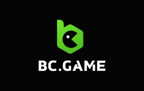Comprehensive Overview of BC.Game Customer Support Service