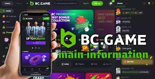 Exploring BC.Game Crypto Casino The Future of Online Gaming